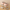 MomEase™ –  Handsfree Borstkolf - LittleWonders