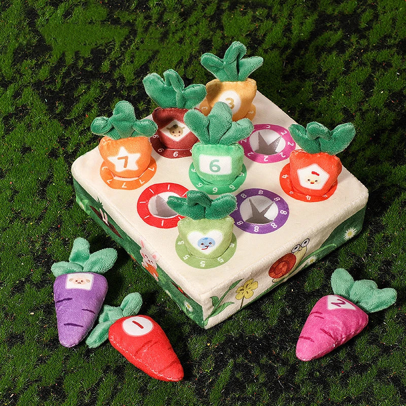 LittleHarvest™ – Educatief Speelplezier met Worteltjes - LittleWonders