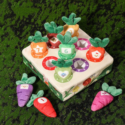 LittleHarvest™ – Educatief Speelplezier met Worteltjes - LittleWonders