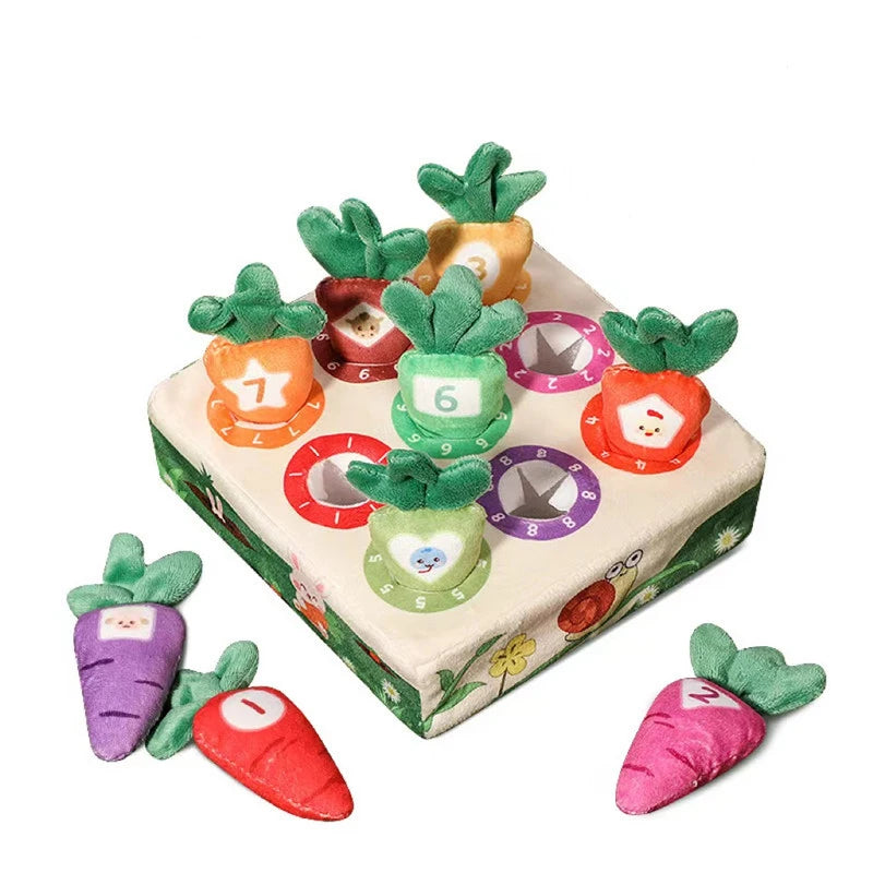 LittleHarvest™ – Educatief Speelplezier met Worteltjes - LittleWonders