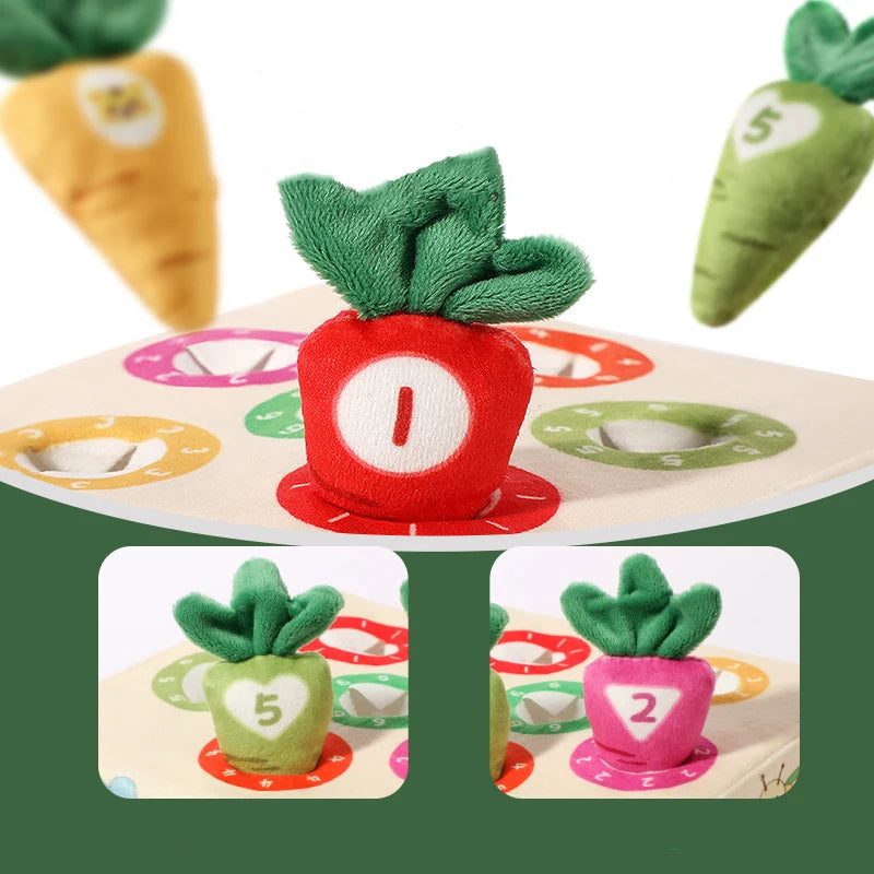 LittleHarvest™ – Educatief Speelplezier met Worteltjes - LittleWonders