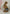 MammaGram™ – Liefde op het Eerste Zicht - LittleWonders